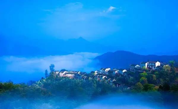 仙寓山富硒野生茶多少钱（仙寓山富硒野茶多少钱一斤）-硒宝网