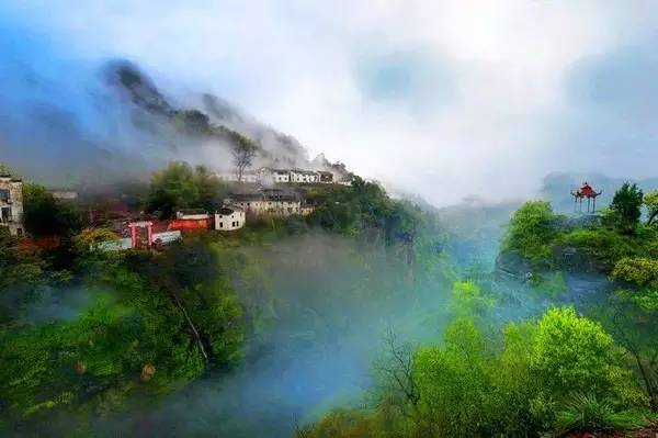 仙寓山富硒野生茶多少钱（仙寓山富硒野茶多少钱一斤）-硒宝网