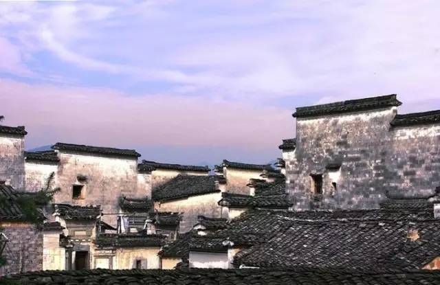 仙寓山富硒野生茶多少钱（仙寓山富硒野茶多少钱一斤）-硒宝网