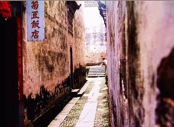 仙寓山富硒野生茶多少钱（仙寓山富硒野茶多少钱一斤）-硒宝网