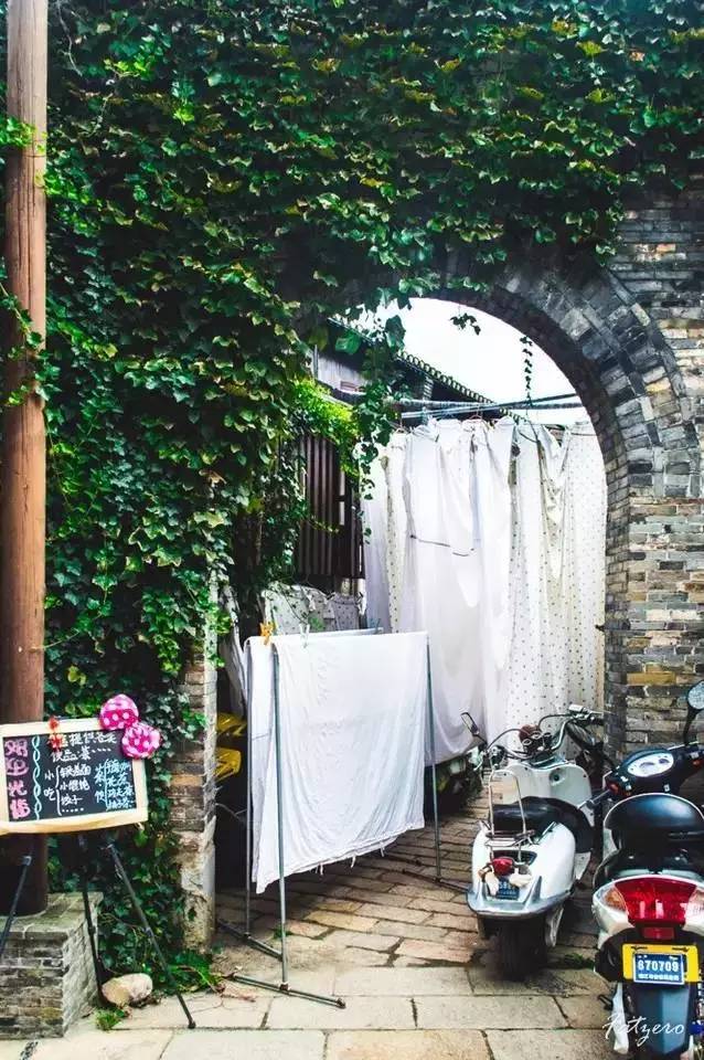 仙寓山富硒野生茶多少钱（仙寓山富硒野茶多少钱一斤）-硒宝网