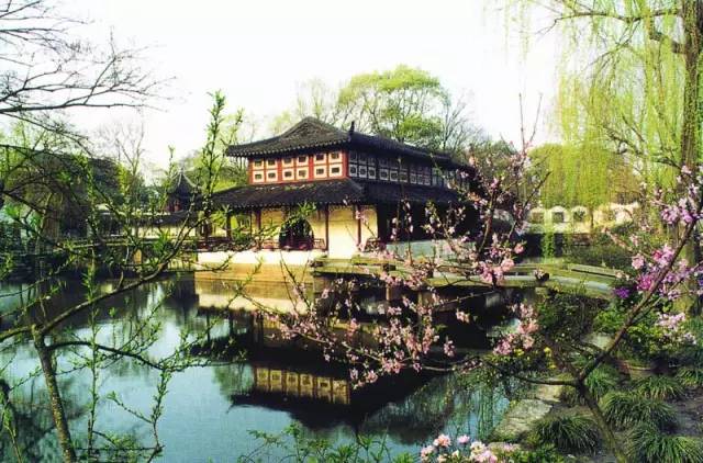 仙寓山富硒野生茶多少钱（仙寓山富硒野茶多少钱一斤）-硒宝网