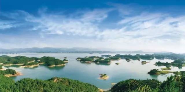 仙寓山富硒野生茶多少钱（仙寓山富硒野茶多少钱一斤）-硒宝网