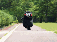 仙寓山富硒野生茶多少钱（仙寓山富硒野茶多少钱一斤）-硒宝网