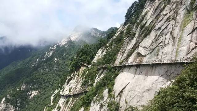 仙寓山富硒野生茶多少钱（仙寓山富硒野茶多少钱一斤）-硒宝网