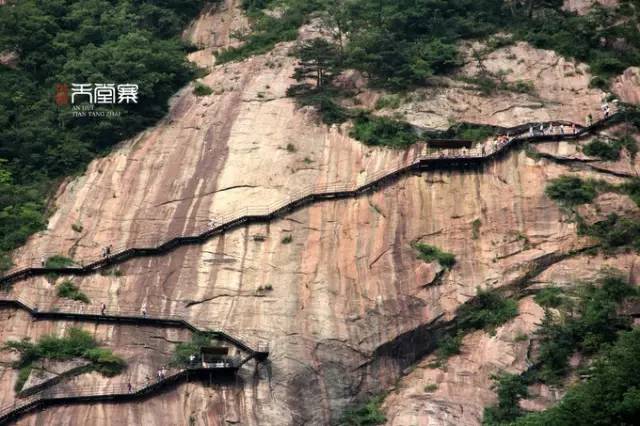 仙寓山富硒野生茶多少钱（仙寓山富硒野茶多少钱一斤）-硒宝网