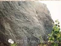 湖南黑茶是一种天然富硒(黑茶中硒的含量是多少)-硒宝网