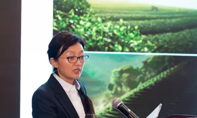 四川雅安富硒茶企业名单(四川富硒茶分布)-硒宝网