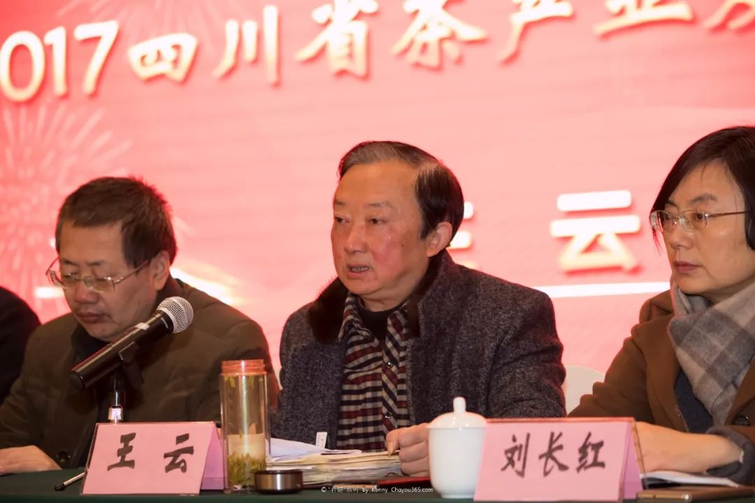 四川雅安富硒茶企业名单(四川富硒茶分布)-硒宝网