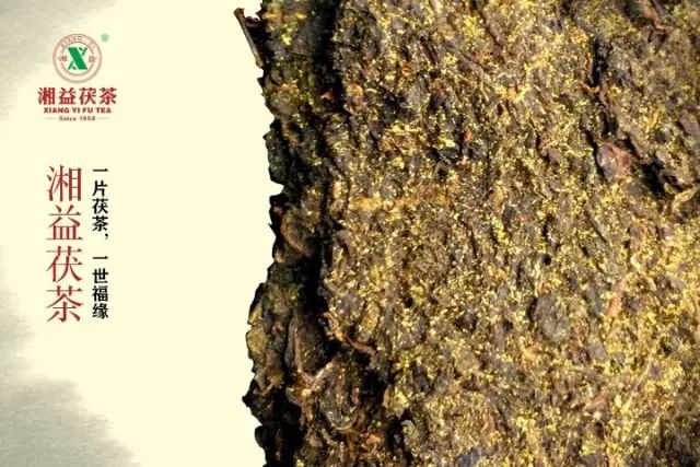 湖南黑茶是一种天然富硒(中国硒黑茶)-硒宝网