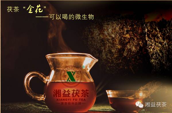 湖南黑茶是一种天然富硒(中国硒黑茶)-硒宝网