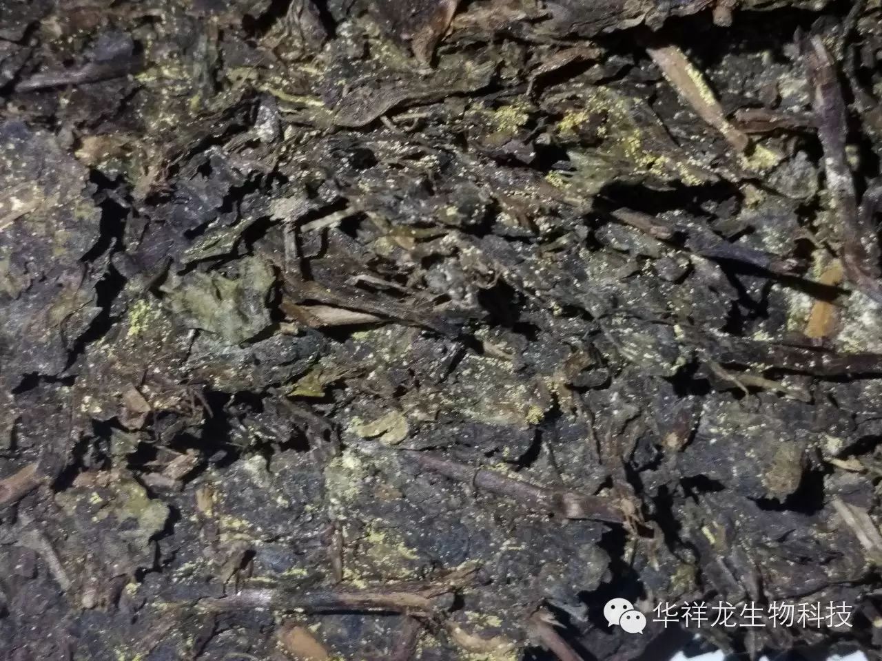 湖南黑茶是一种天然富硒（安化黑茶富硒）-硒宝网