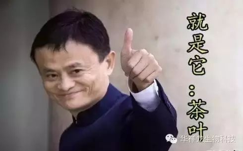 湖南黑茶是一种天然富硒（安化黑茶富硒）-硒宝网