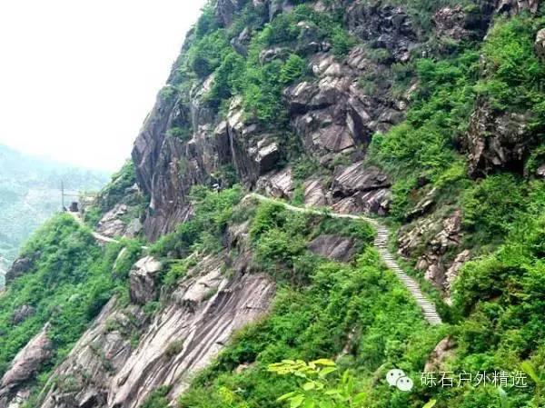 仙寓山富硒野生茶多少钱(富硒仙寓山在哪里)-硒宝网