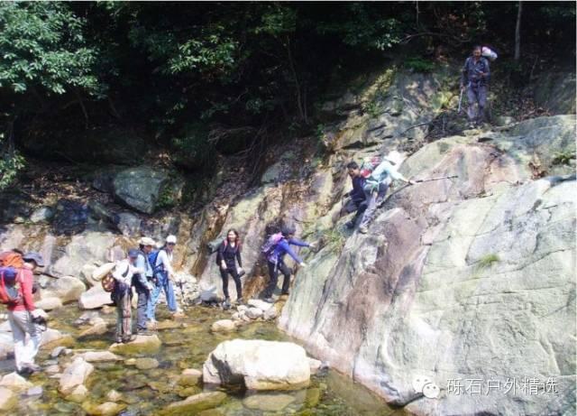 仙寓山富硒野生茶多少钱(富硒仙寓山在哪里)-硒宝网
