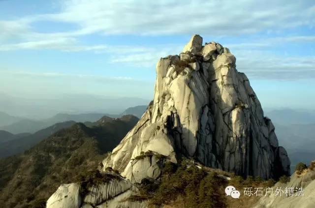 仙寓山富硒野生茶多少钱(富硒仙寓山在哪里)-硒宝网