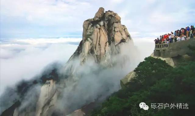 仙寓山富硒野生茶多少钱(富硒仙寓山在哪里)-硒宝网