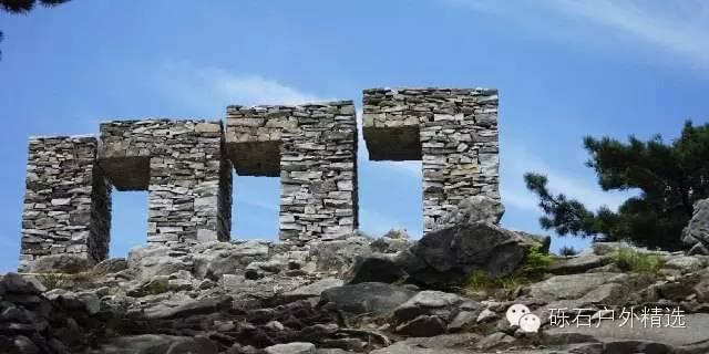 仙寓山富硒野生茶多少钱(富硒仙寓山在哪里)-硒宝网