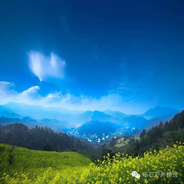 仙寓山富硒野生茶多少钱(富硒仙寓山在哪里)-硒宝网