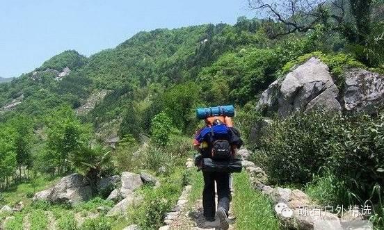 仙寓山富硒野生茶多少钱(富硒仙寓山在哪里)-硒宝网