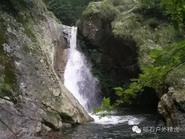 仙寓山富硒野生茶多少钱(富硒仙寓山在哪里)-硒宝网