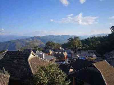 富硒藤茶有什么样的好处（富硒藤茶多少钱一斤）-硒宝网