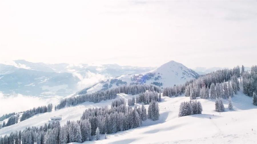 思施市富绿硒茶城体验店（施得富化肥有限公司电话）-硒宝网
