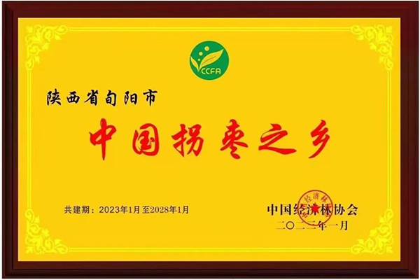 富硒茶栽培技术培训基地(富硒茶产业)-硒宝网