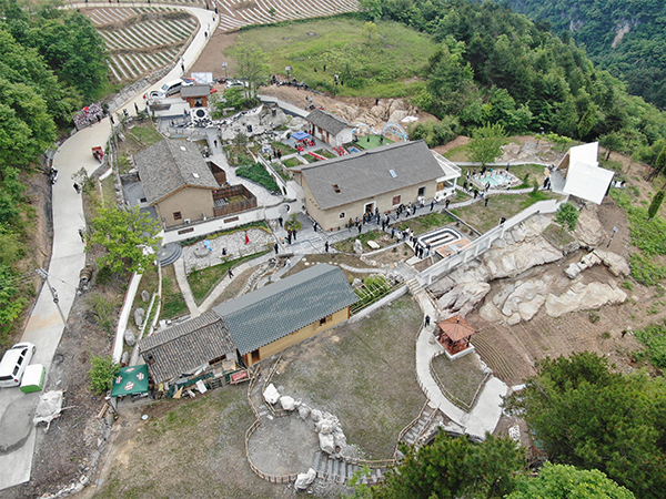 富硒茶栽培技术培训基地(富硒茶产业)-硒宝网