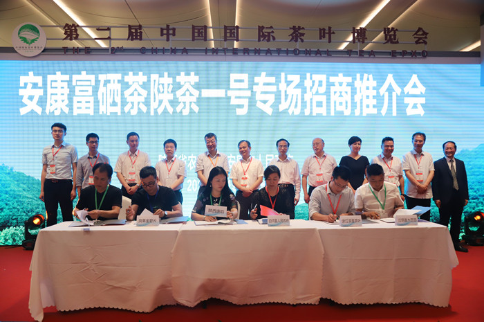 安康市富硒茶的用户调研（安康富硒茶园）-硒宝网