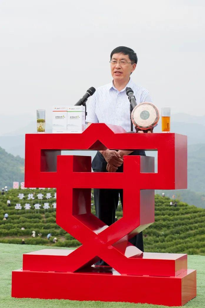 安康富硒茶平利县好不好(安康富硒茶多少钱一斤)-硒宝网