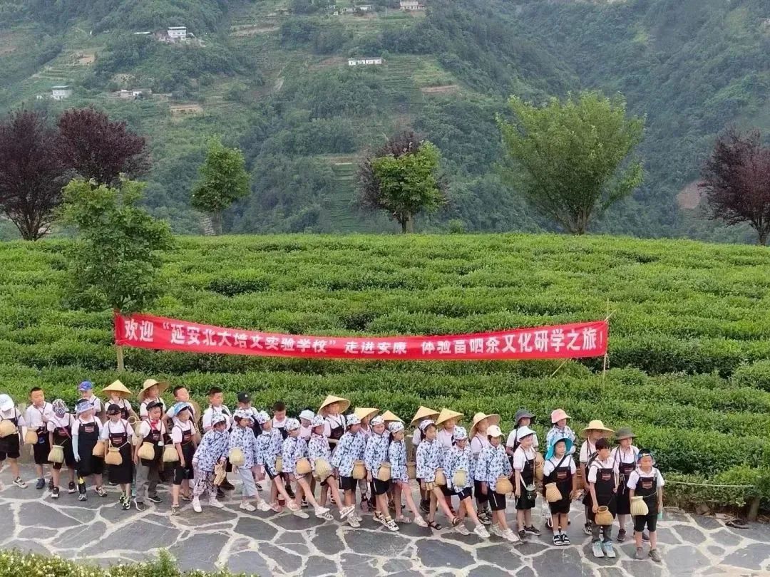 紫阳富硒茶陶博物馆美篇(紫阳富硒茶文化节)-硒宝网