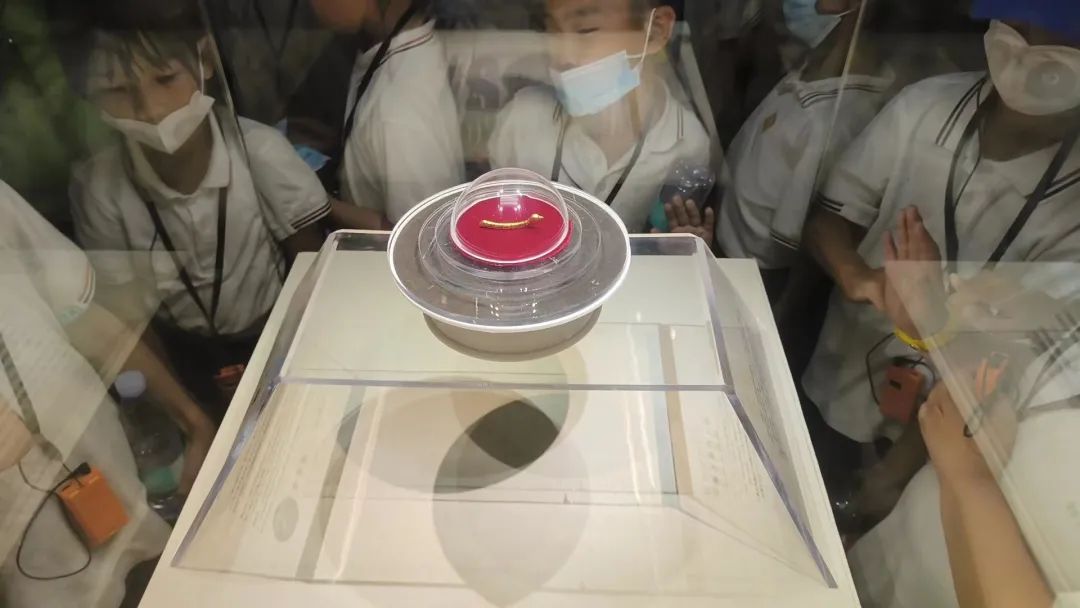 紫阳富硒茶陶博物馆美篇(紫阳富硒茶文化节)-硒宝网