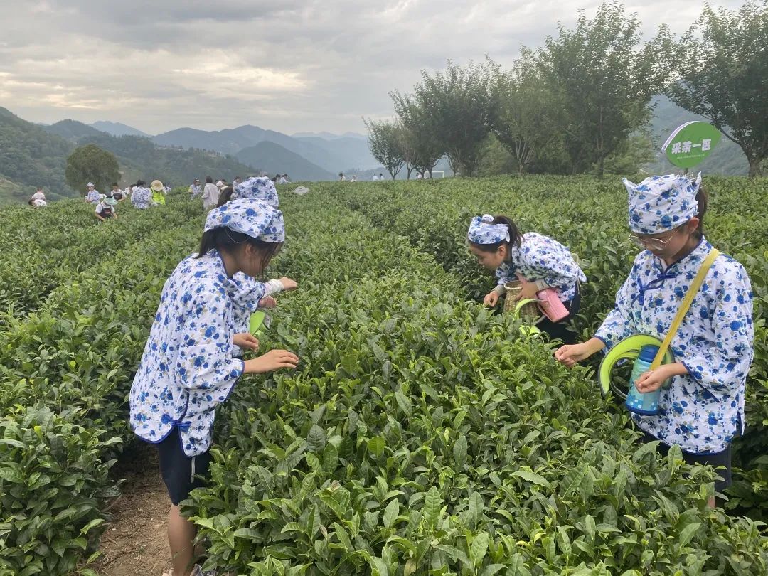 紫阳富硒茶陶博物馆美篇(紫阳富硒茶文化节)-硒宝网