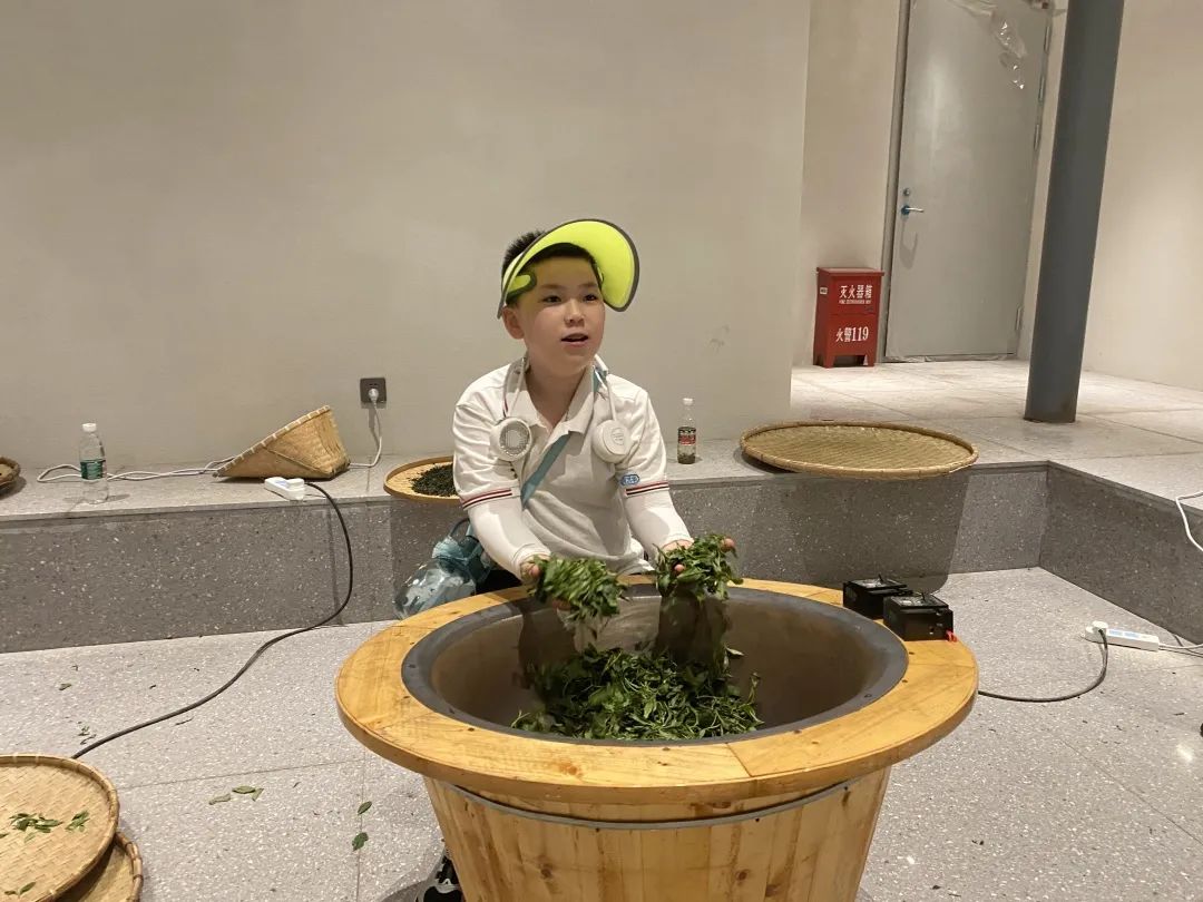 紫阳富硒茶陶博物馆美篇(紫阳富硒茶文化节)-硒宝网