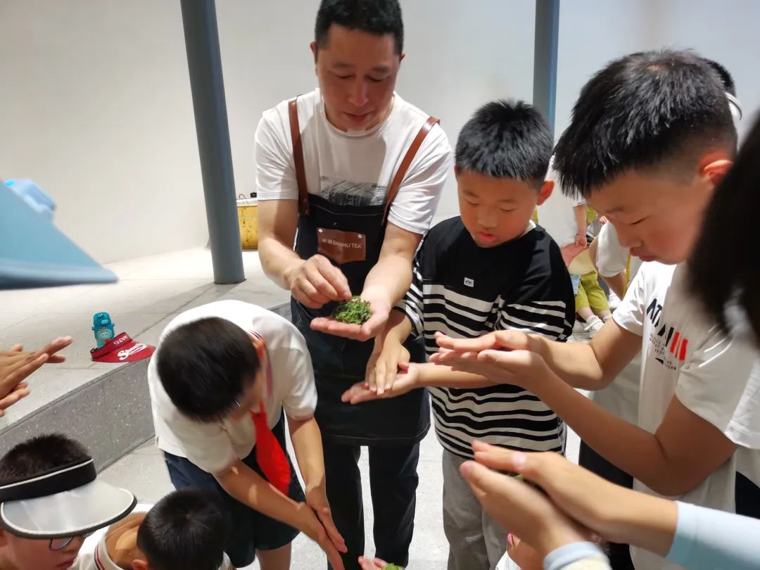 紫阳富硒茶陶博物馆美篇(紫阳富硒茶文化节)-硒宝网