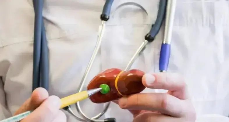 富硒茶和决明子可以一起（茶加决明子）-硒宝网