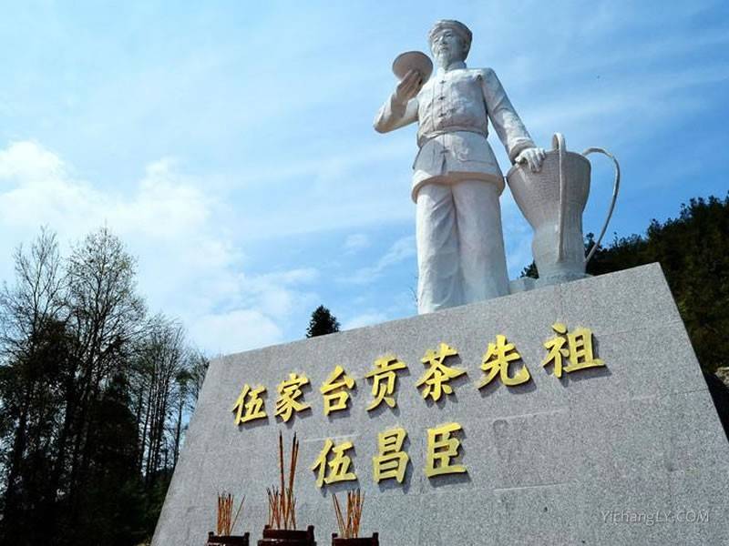 皇恩宠锡伍家台富硒贡茶（湖北宣恩五家台贡茶有几个公司）-硒宝网