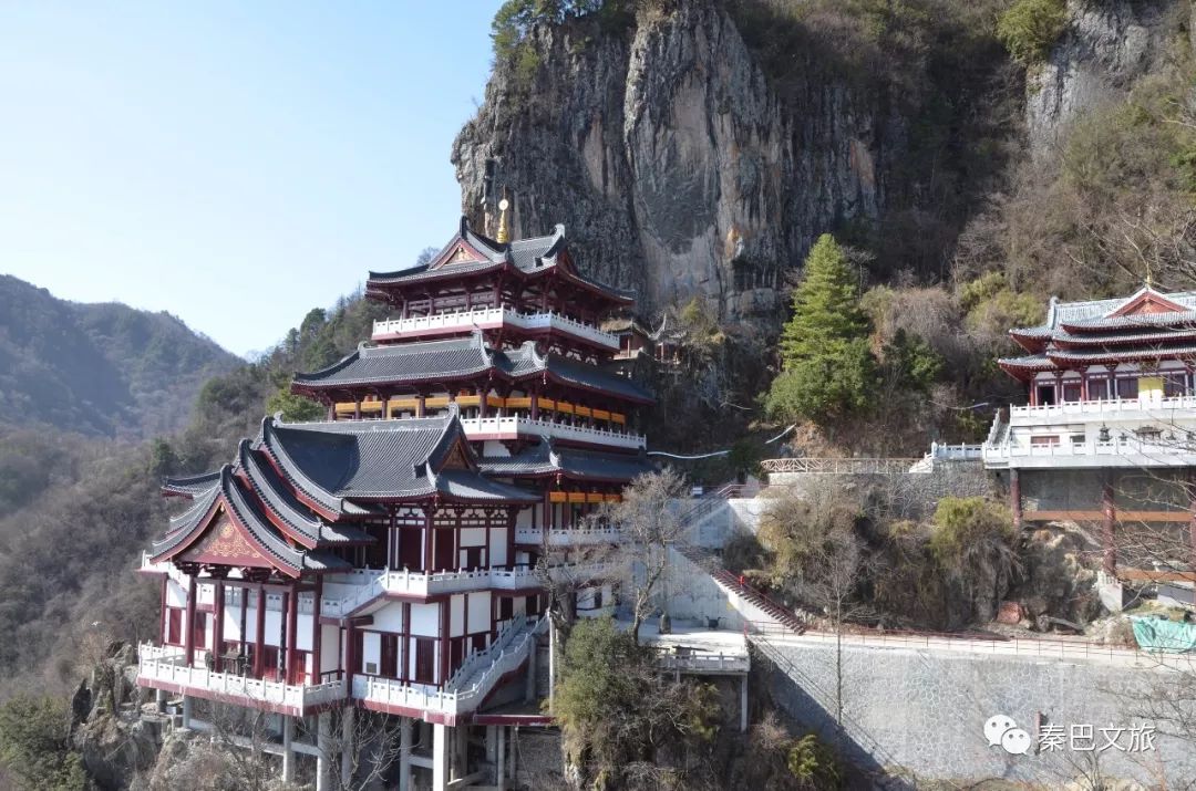 富硒毛尖茶安康人能喝吗(安康富硒茶属于绿茶吗)-硒宝网