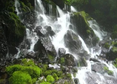 富硒毛尖茶安康人能喝吗(安康富硒茶属于绿茶吗)-硒宝网