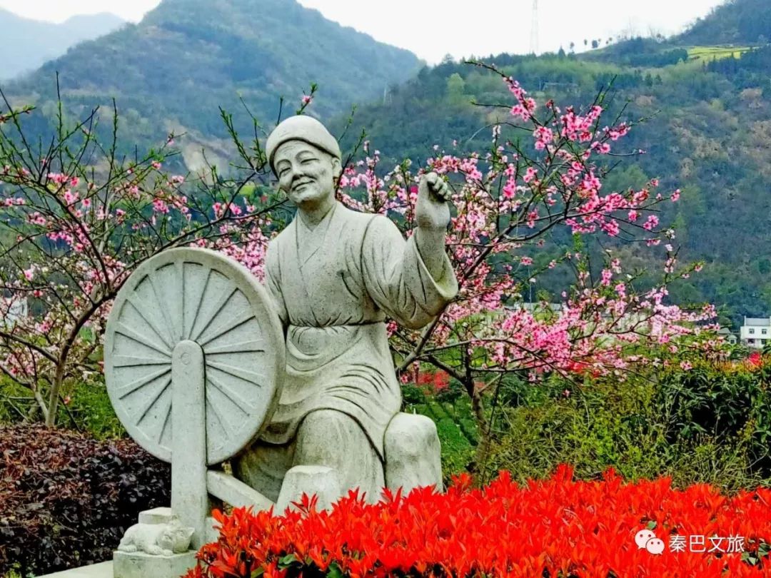 富硒毛尖茶安康人能喝吗(安康富硒茶属于绿茶吗)-硒宝网