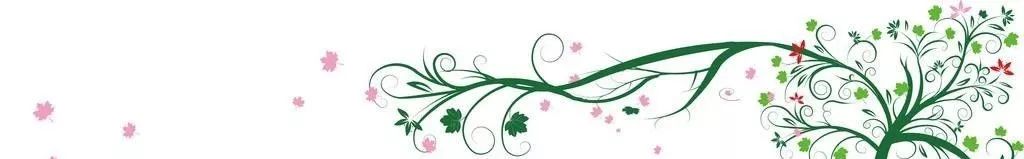 富硒毛尖茶安康人能喝吗(安康富硒茶属于绿茶吗)-硒宝网