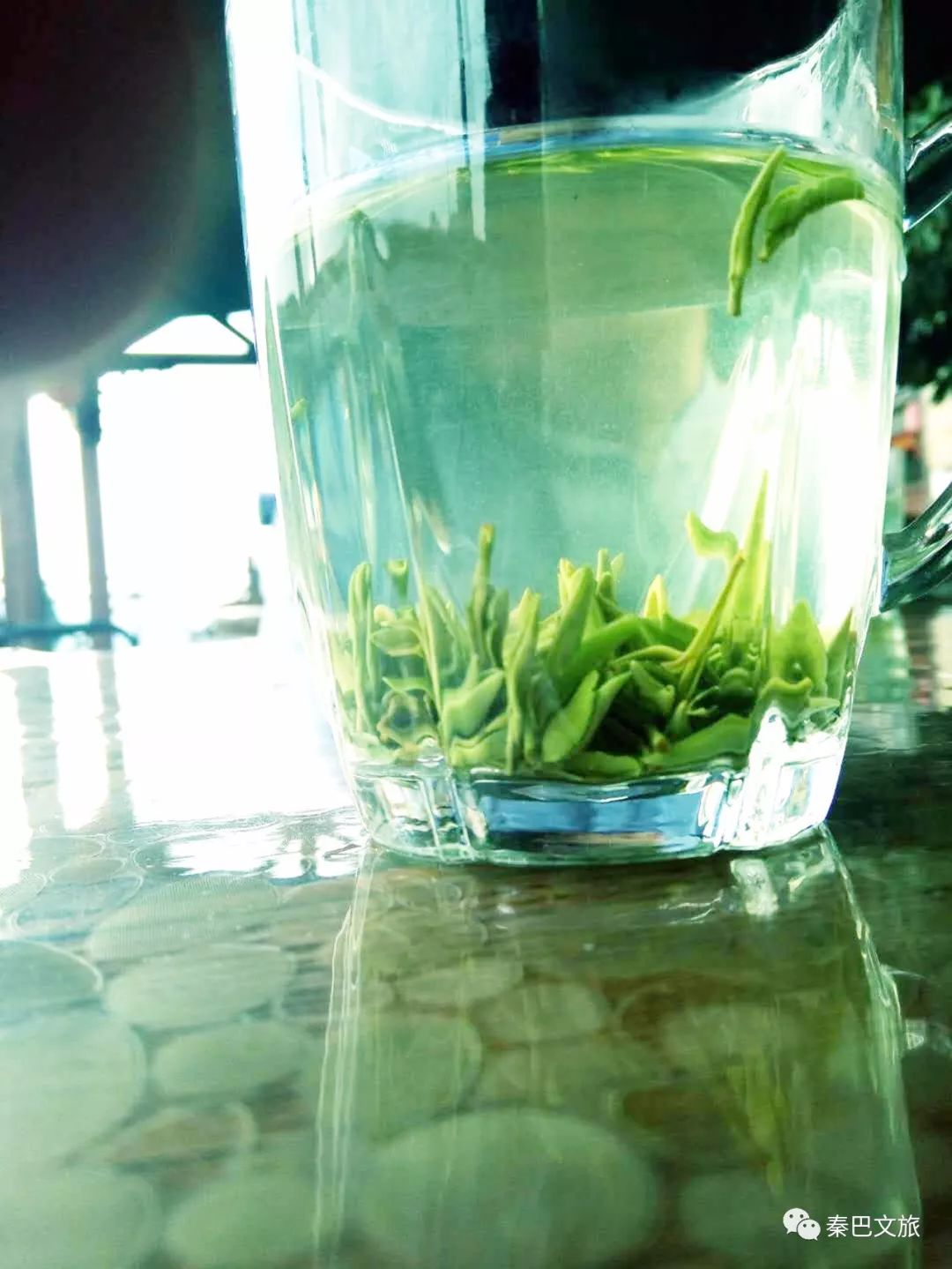 富硒毛尖茶安康人能喝吗(安康富硒茶属于绿茶吗)-硒宝网