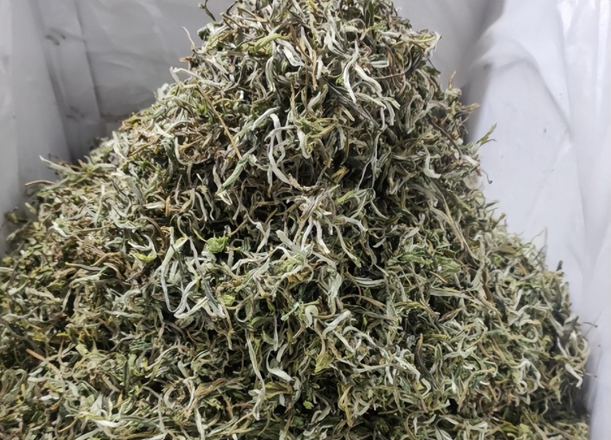 什么年龄段人喝富硒茶好(富硒茶喝多了会有什么坏处)-硒宝网