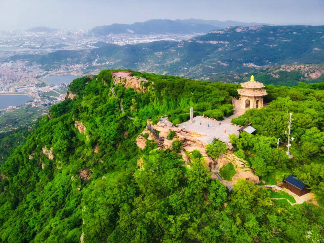 大峡谷富硒茶价格多少钱（大峡谷生态茶业有限公司）-硒宝网