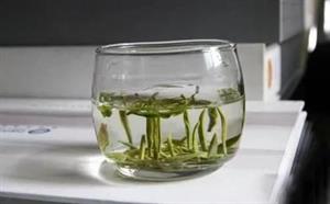 蒿稀富硒茶什么人不能喝(喝硒茶的好处)-硒宝网