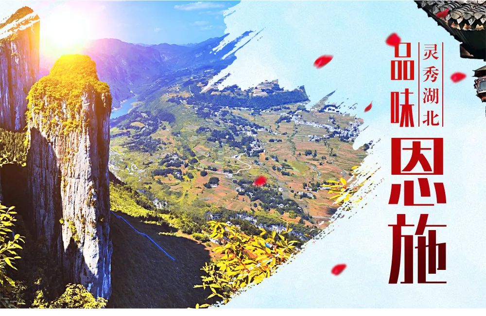 大峡谷富硒茶价格多少钱（大峡谷茶业）-硒宝网