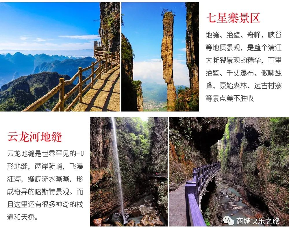 大峡谷富硒茶价格多少钱（大峡谷茶业）-硒宝网