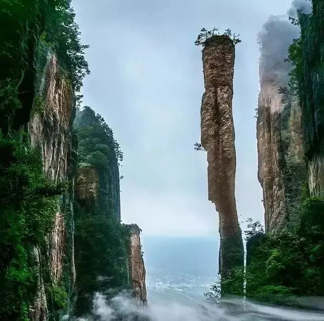 大峡谷富硒茶价格多少钱（大峡谷茶业）-硒宝网