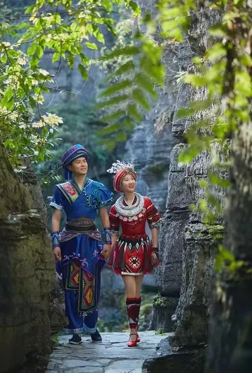 大峡谷富硒茶价格多少钱（大峡谷茶业）-硒宝网